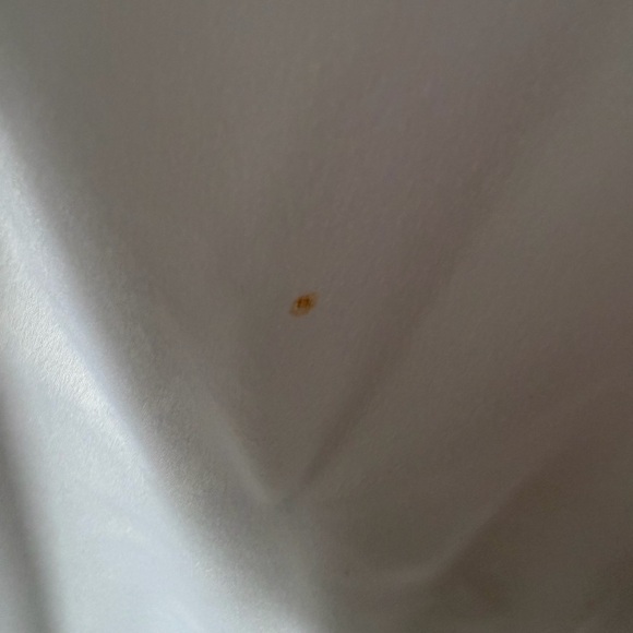 Bridal Robe with Train - Picture 9 of 9